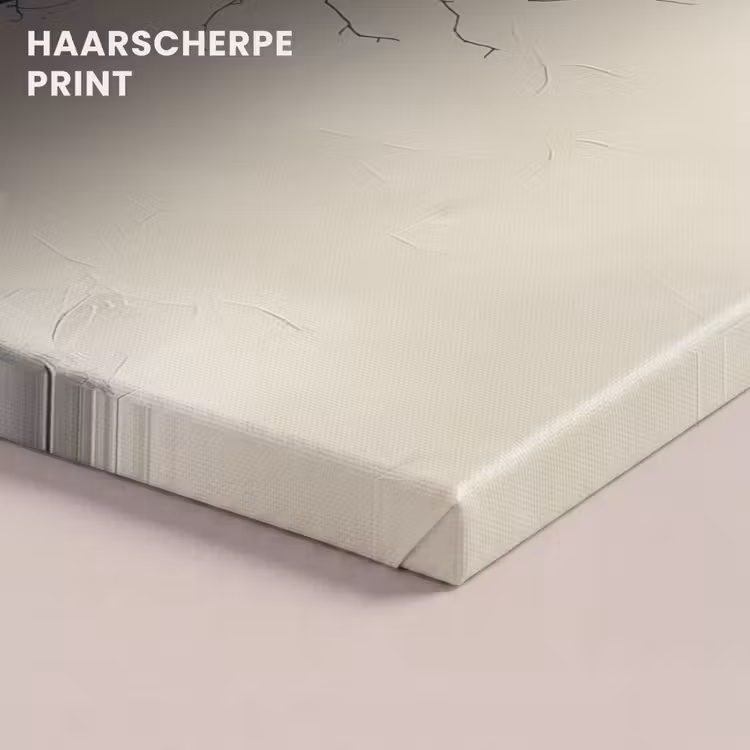 Canvas schilderij - Natuur - Zwart - Maan - Kunst - Modern — 5