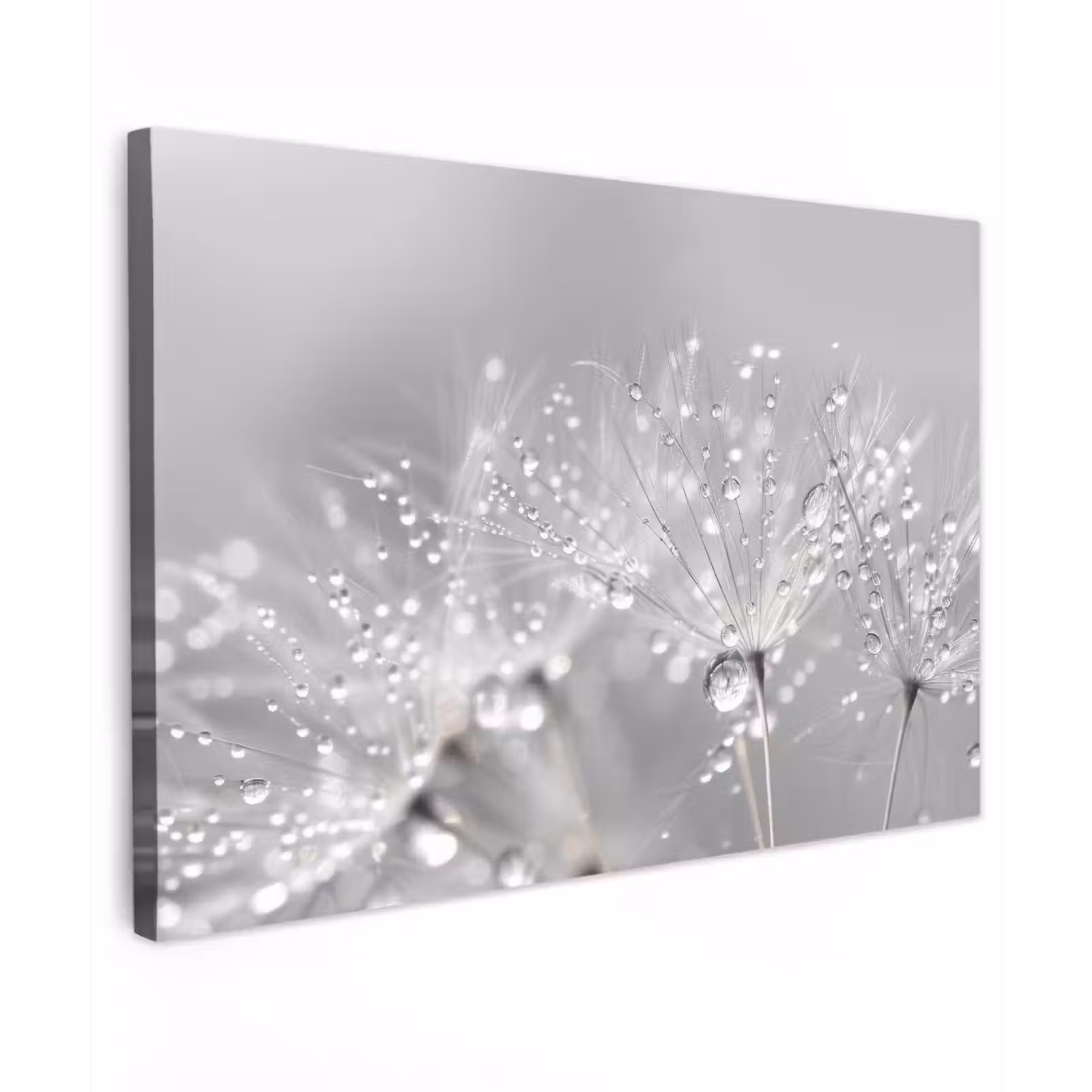 Canvas schilderij - Paardenbloem - Waterdruppels - Stilleven - Modern — 1