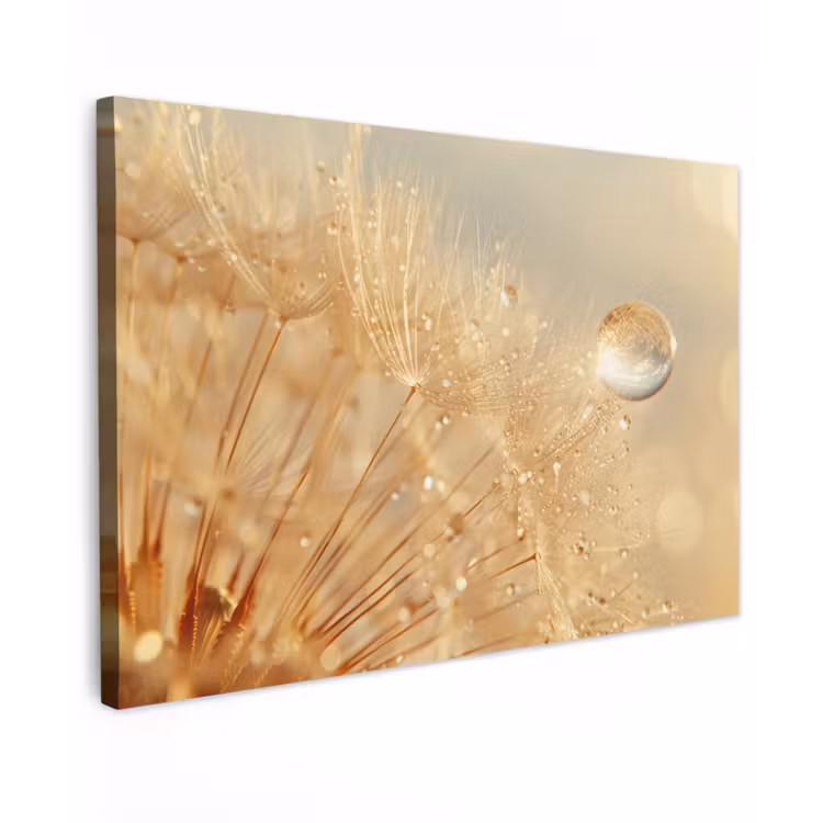 Canvas schilderij - Paardenbloem - Water - Natuur - Planten - Modern — 1