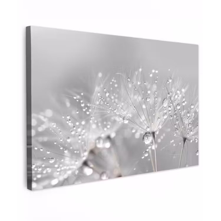 Canvas schilderij - Paardenbloem - Waterdruppels - Stilleven - Modern — 1