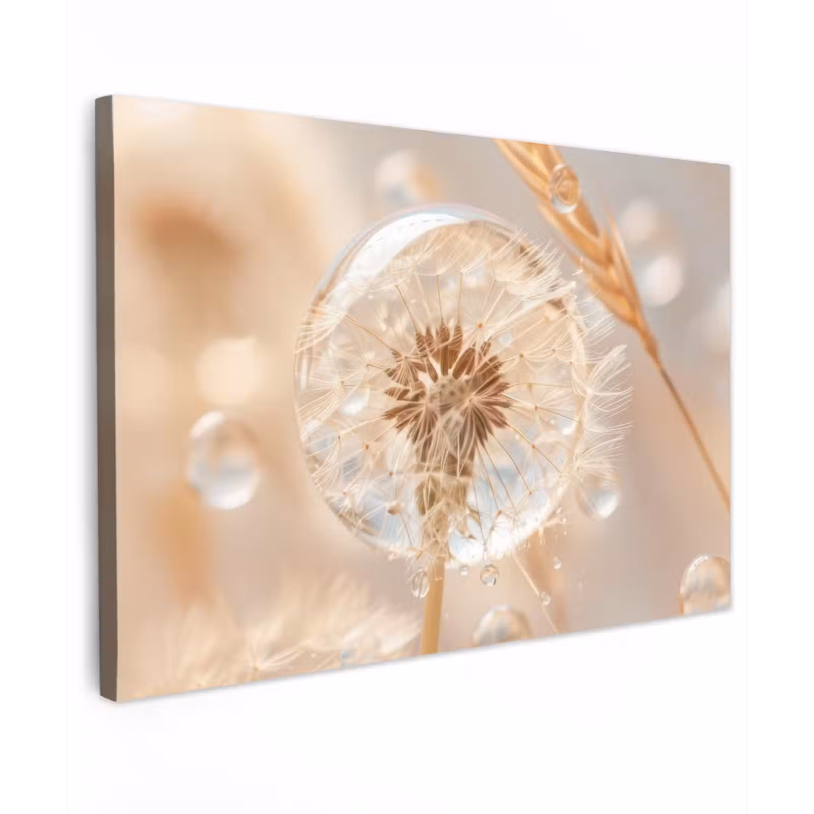 Canvas schilderij - Paardenbloem - Water - Natuur - Stilleven - Modern — 1