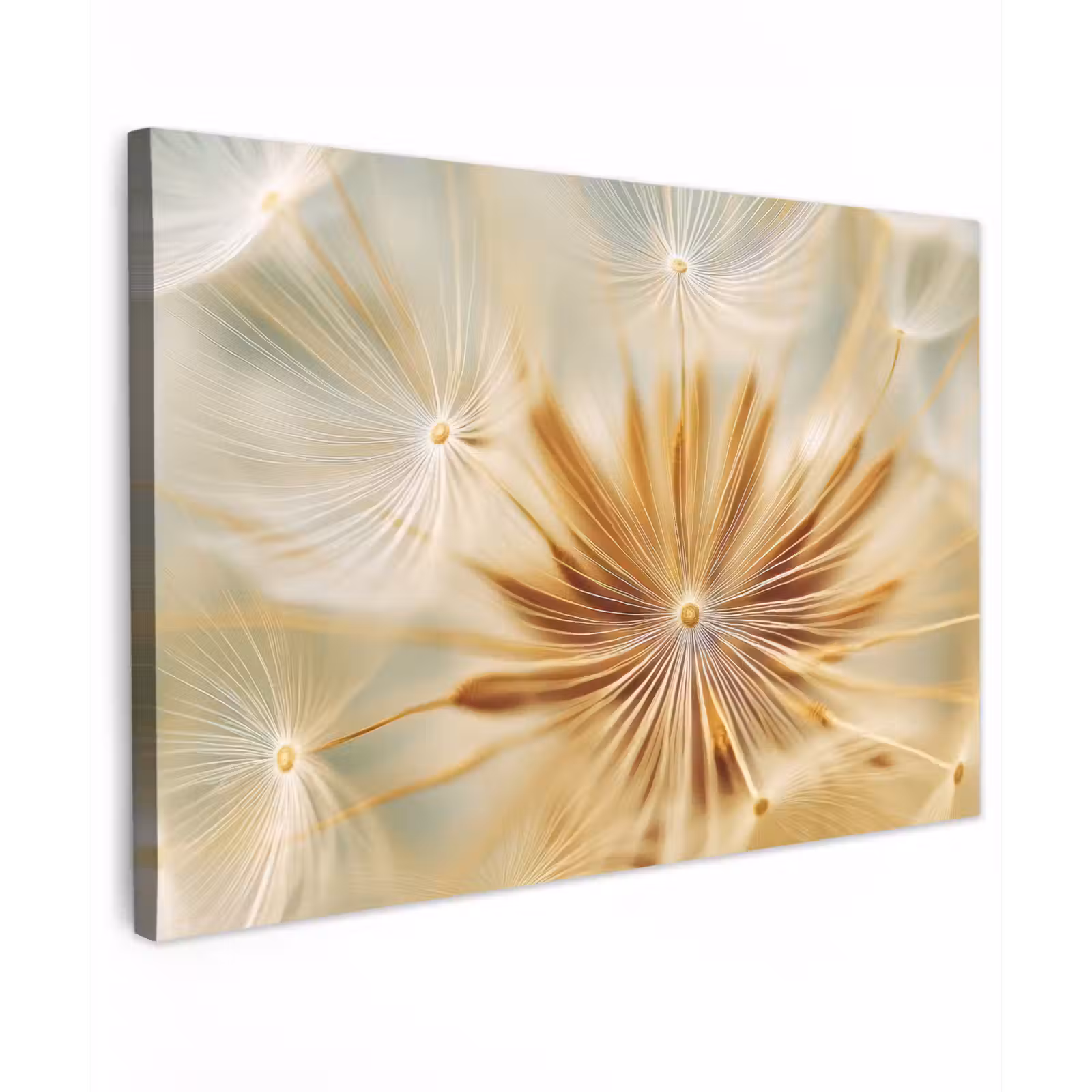 Canvas schilderij - Paardenbloem - Beige - Abstract - Modern - Natuur — 1