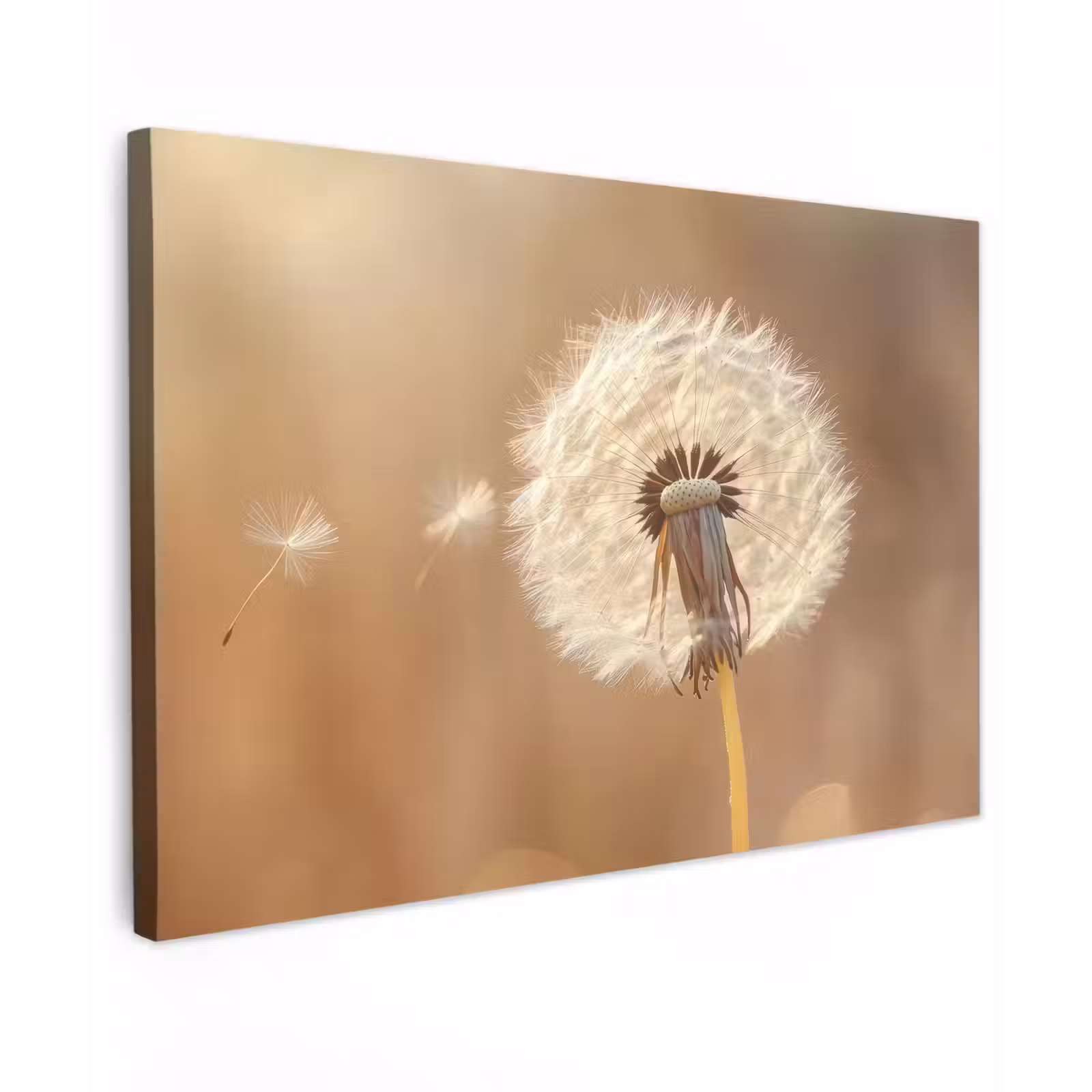 Canvas schilderij - Paardenbloem - Beige - Natuur - Bloem — 1