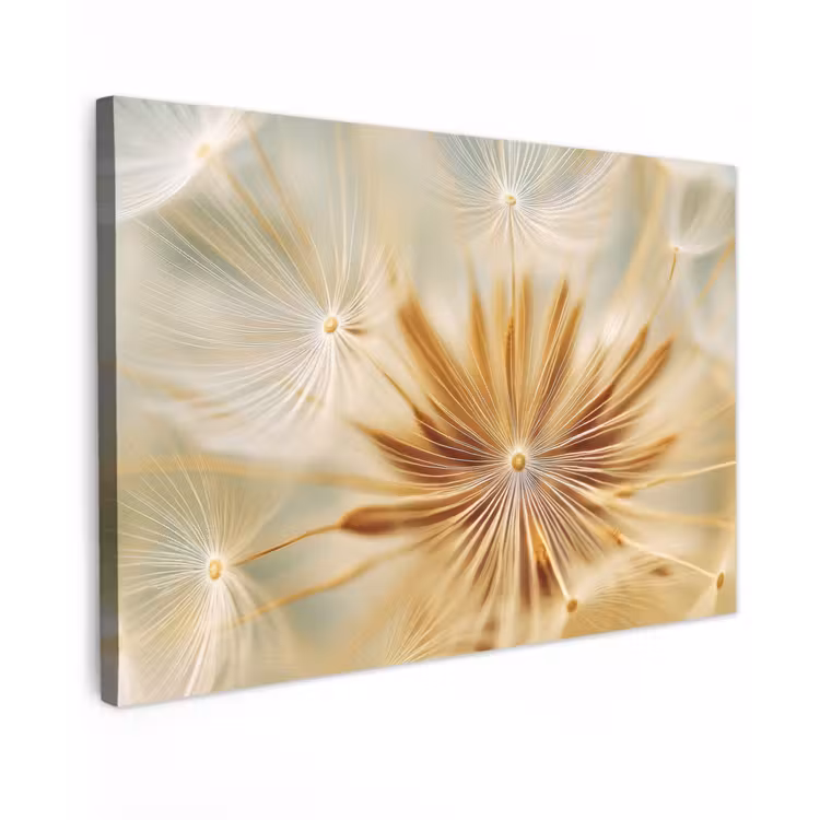 Canvas schilderij - Paardenbloem - Beige - Abstract - Modern - Natuur — 1