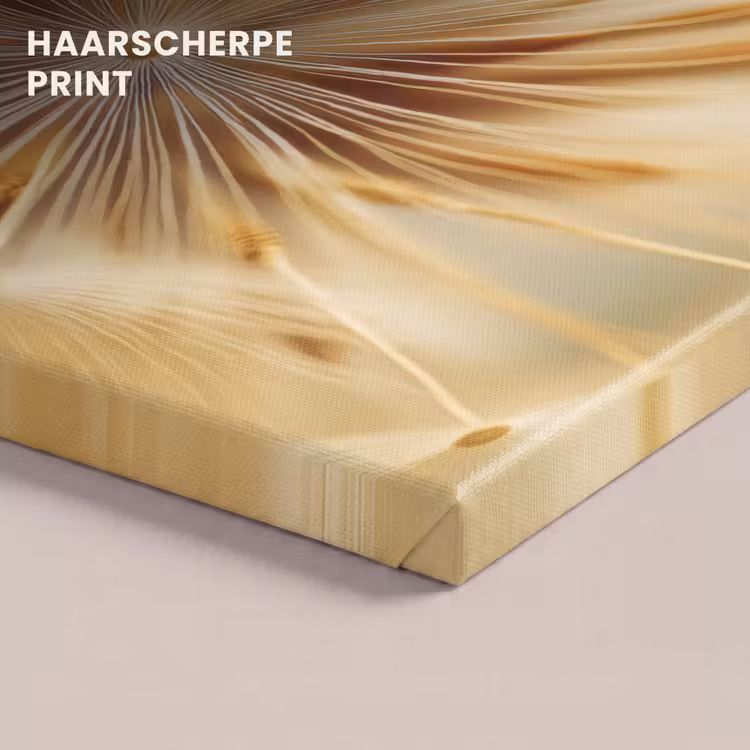 Canvas schilderij - Paardenbloem - Beige - Abstract - Modern - Natuur — 5