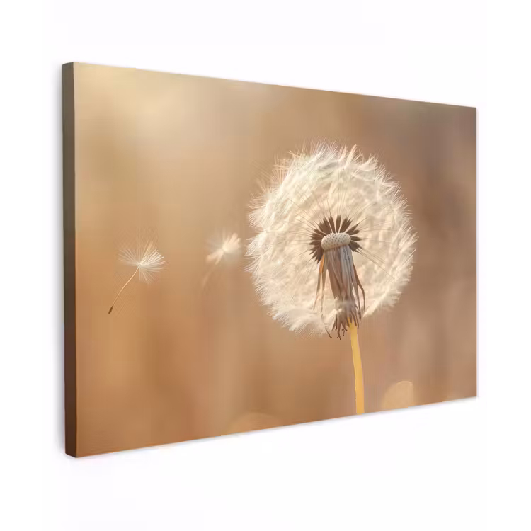 Canvas schilderij - Paardenbloem - Beige - Natuur - Bloem — 1