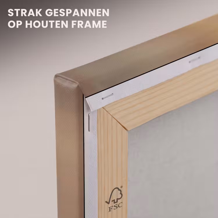 Canvas schilderij - Paardenbloem - Beige - Natuur - Bloem — 7