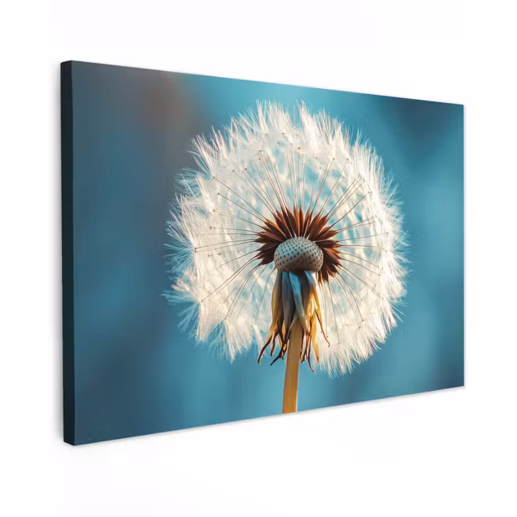 Canvas schilderij - Paardenbloem - Natuur - Bloemen - Blauw — 1
