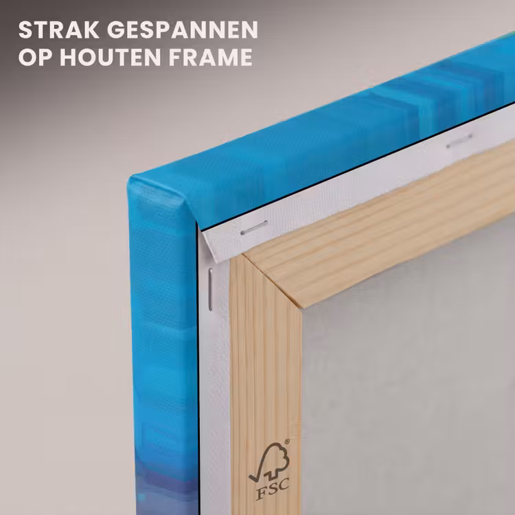 Canvas schilderij - Kikker - Felgekleurd - Tak - Regenboog — 7