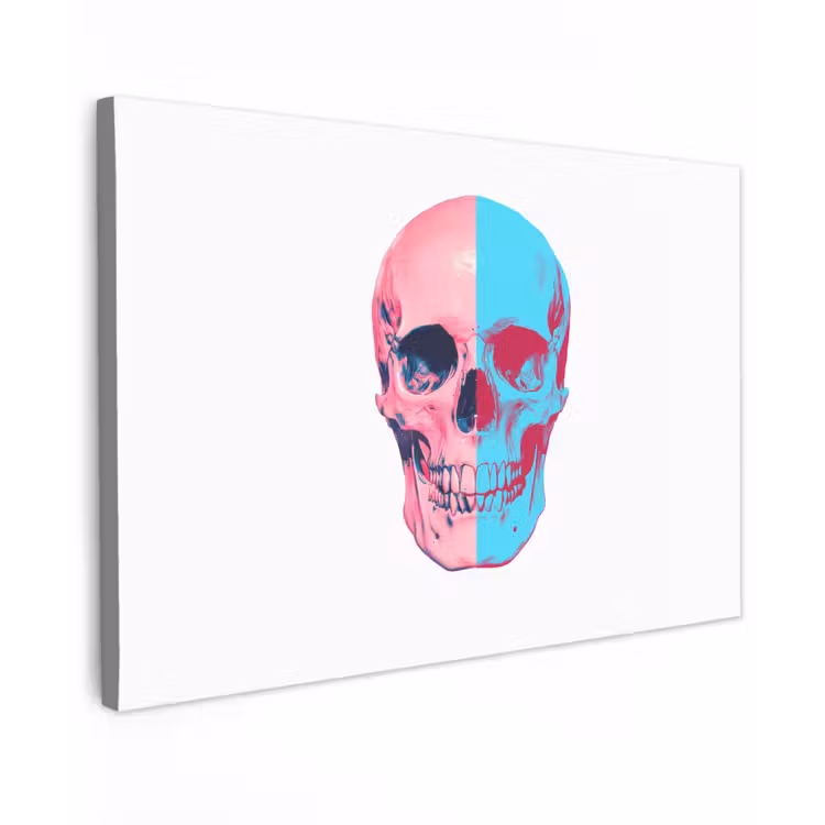 Canvas schilderij - Schedel - Grafisch - Roze - Verdeeld — 1
