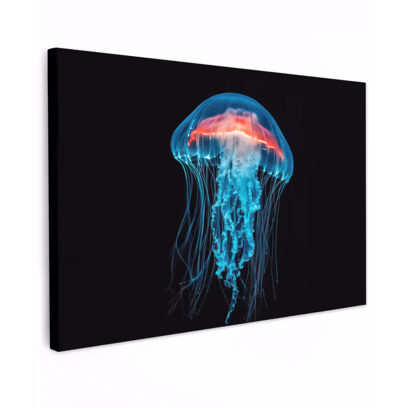 Canvas schilderij - Kwal - Tentakels - Blauw - Licht — 1