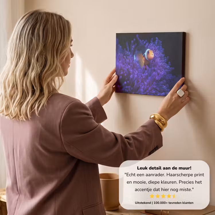 Canvas schilderij - Koraal - Vis - Oranje - Zee — 3
