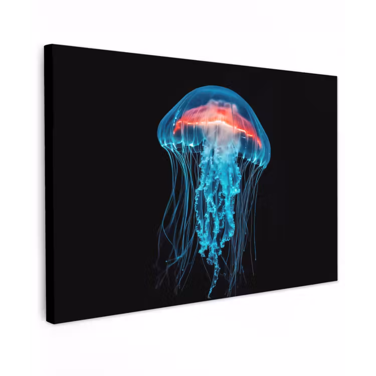 Canvas schilderij - Kwal - Tentakels - Blauw - Licht — 1
