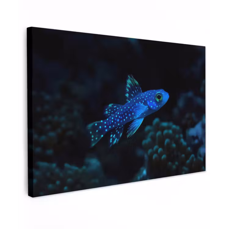Canvas schilderij - Vis - Stippen - Koraal - Blauw — 1