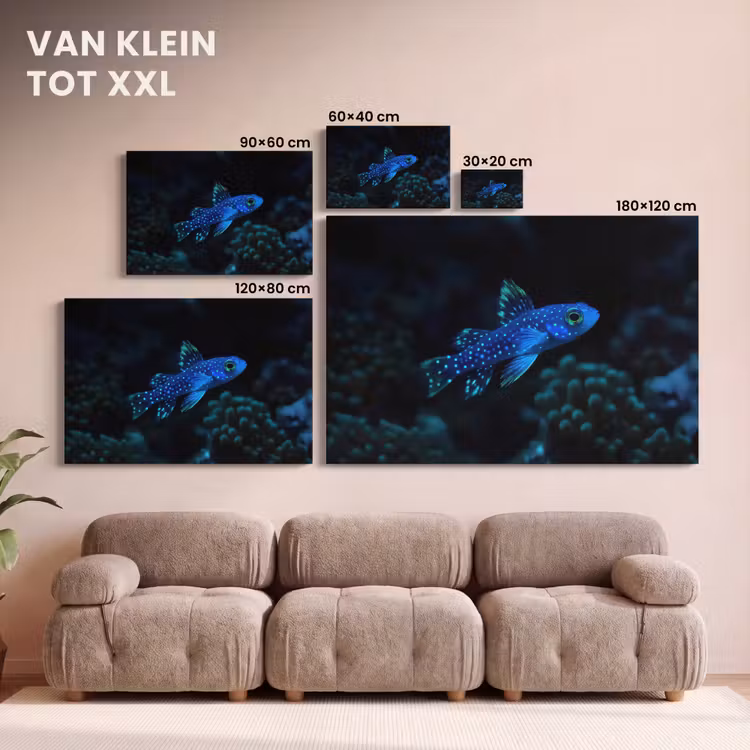 Canvas schilderij - Vis - Stippen - Koraal - Blauw — 8