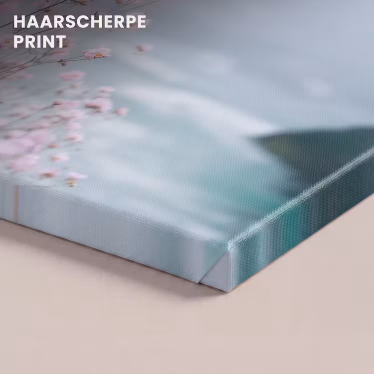 Canvas schilderij - Klif - Bloemen - Zee - Roze — 5