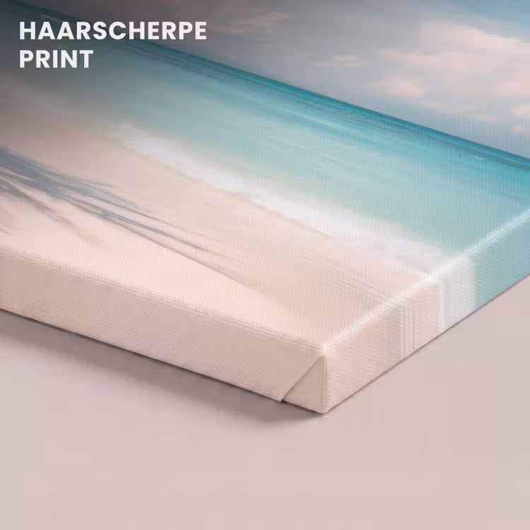 Canvas schilderij - Palmboom - Schommel - Strand - Lucht — 5