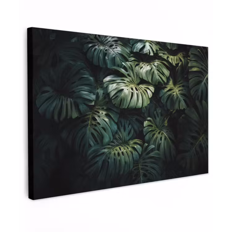 Canvas schilderij - Plant - Monstera - Lichtinval — 1