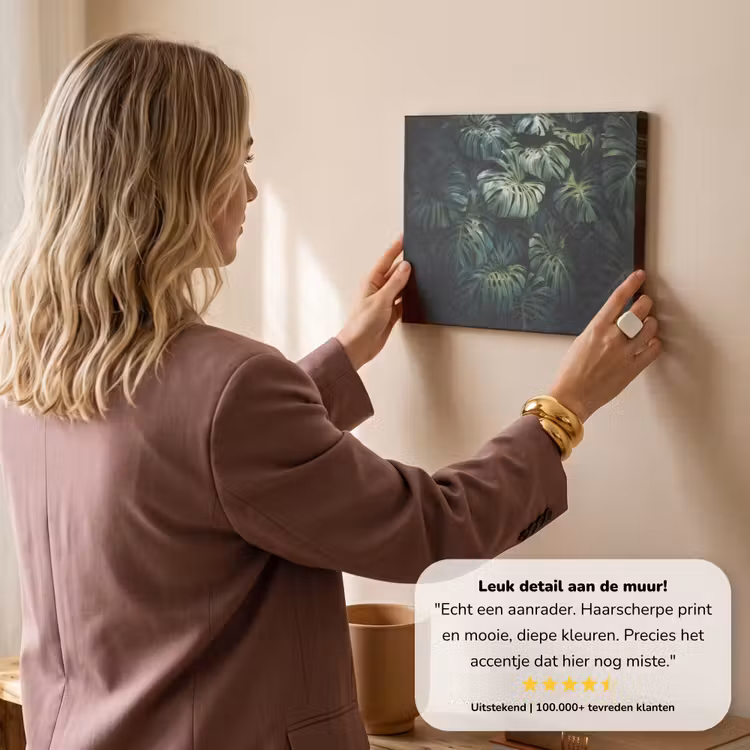 Canvas schilderij - Plant - Monstera - Lichtinval — 3