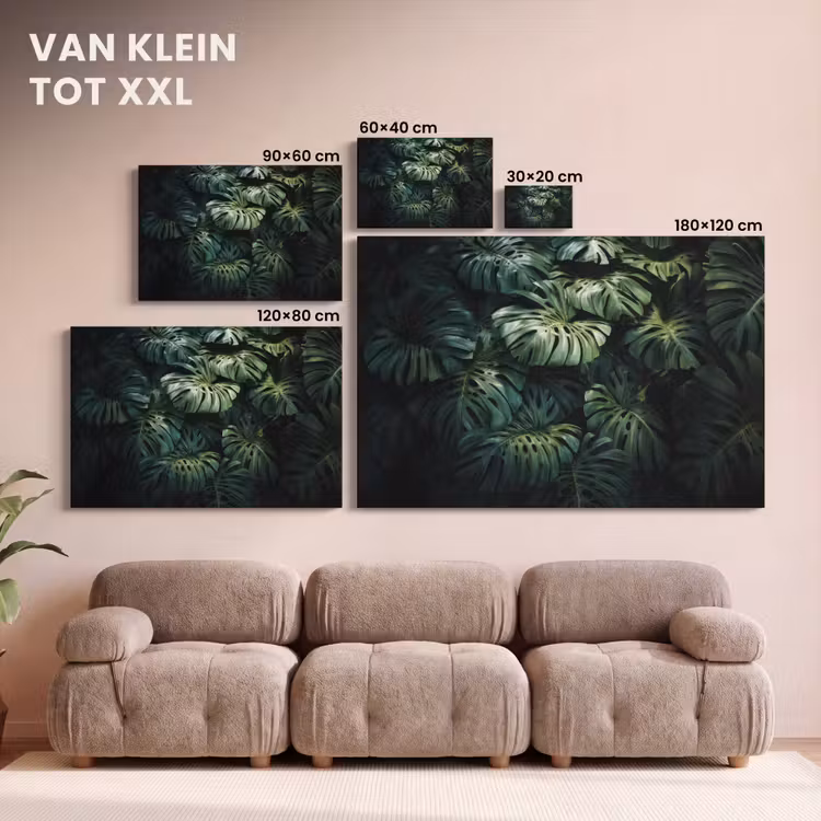 Canvas schilderij - Plant - Monstera - Lichtinval — 8