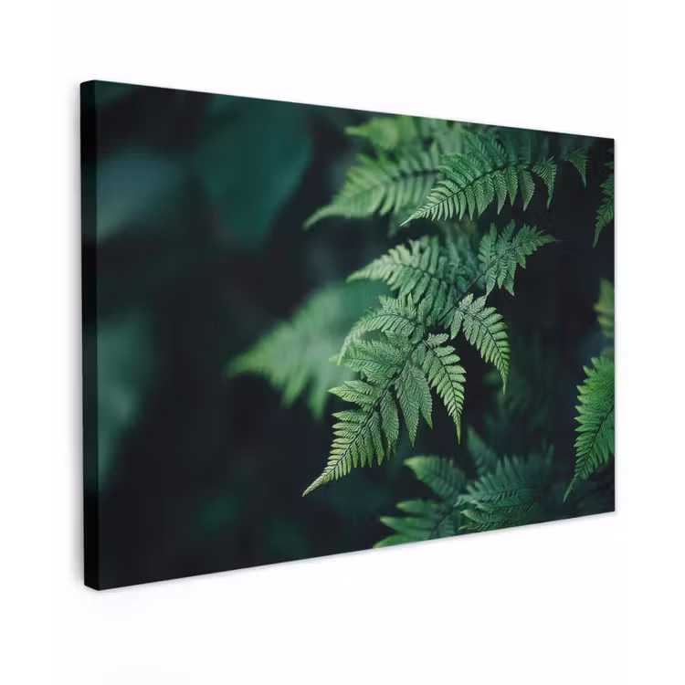 Canvas schilderij - Varenblad - Groen - Structuur - Wazig — 1