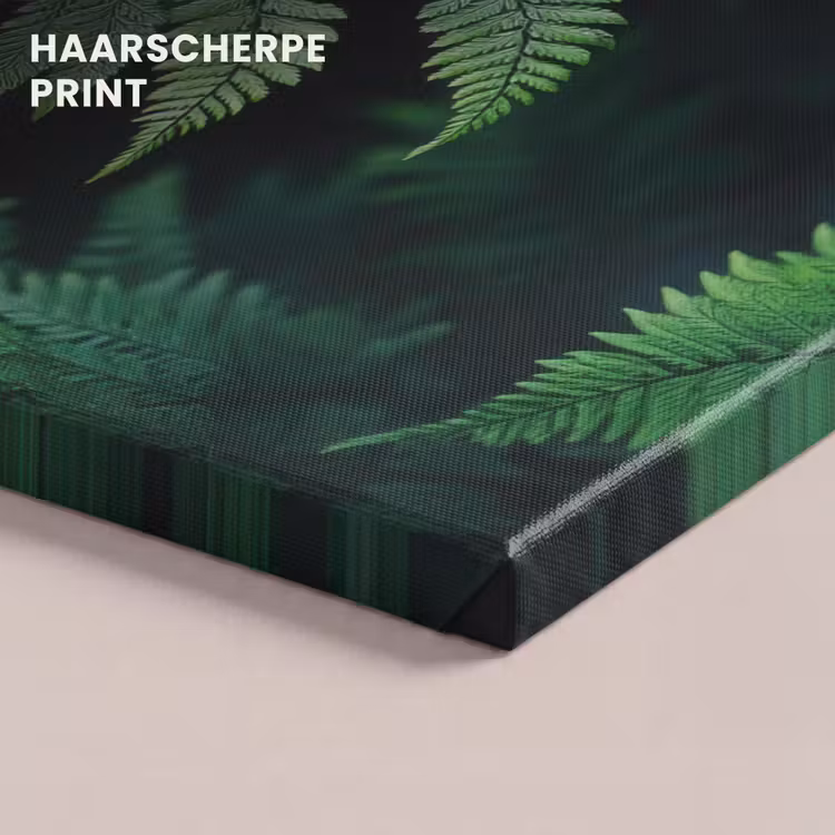 Canvas schilderij - Varenblad - Groen - Structuur - Wazig — 5