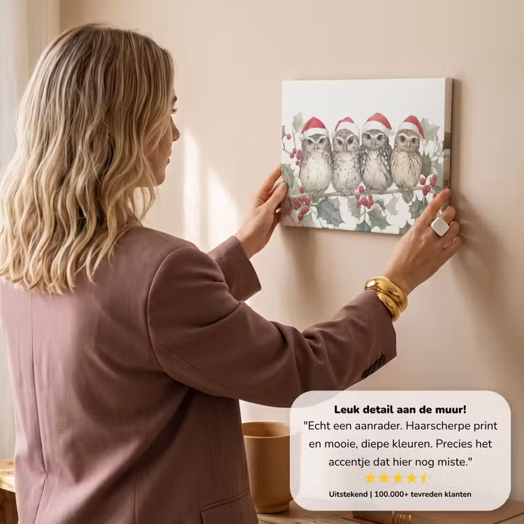 Canvas schilderij - Uilen - Tak - Hulstblaadjes - Kerstmuts — 3