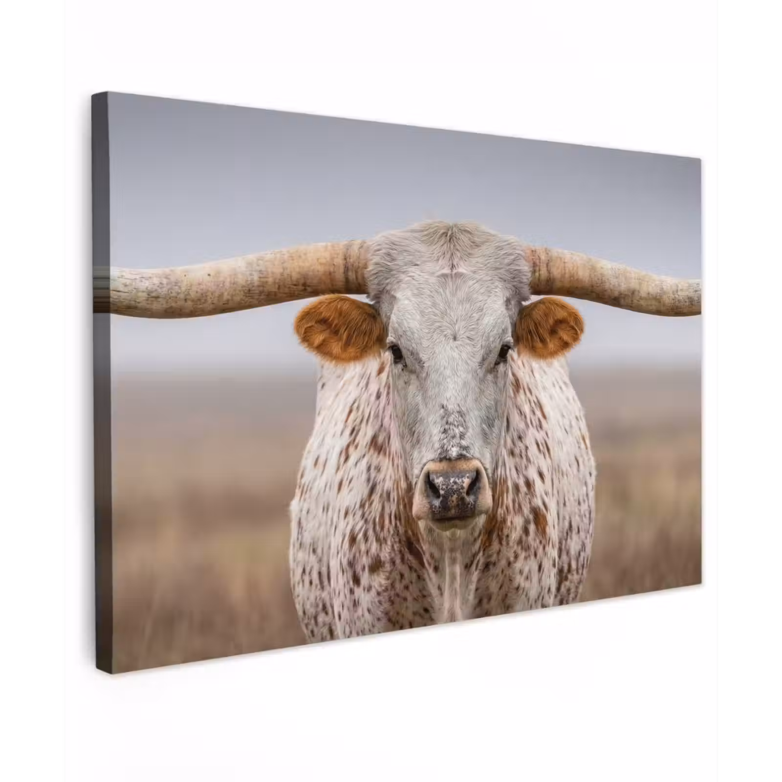 Canvas schilderij - Longhorn - Grasveld - Dier — 1