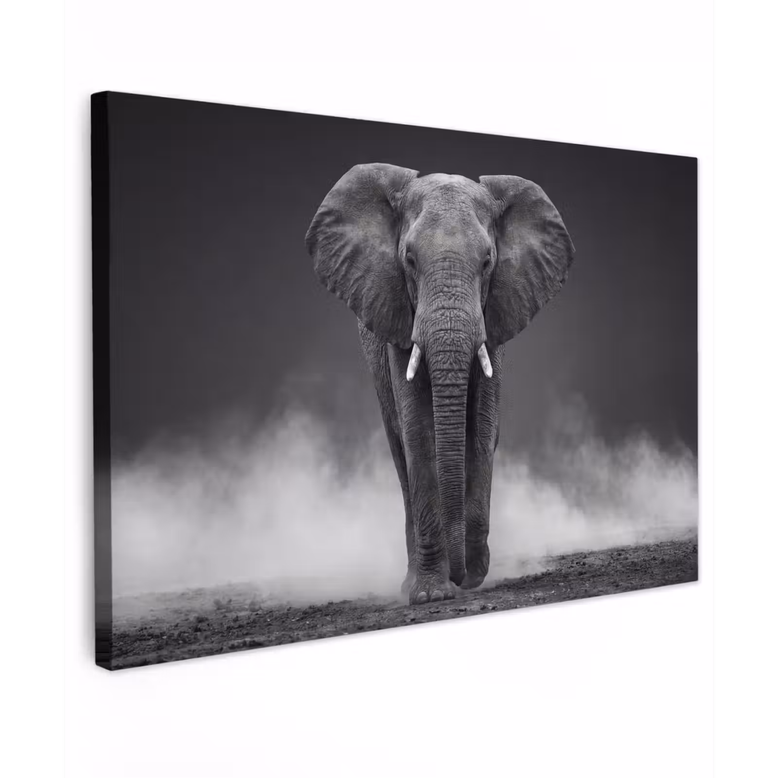 Canvas schilderij - Olifant - Zwart - Wit - Rook — 1