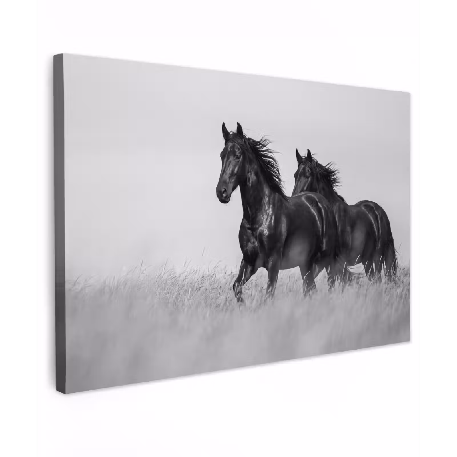 Canvas schilderij - Paarden - Gras - Zwart - Wit — 1