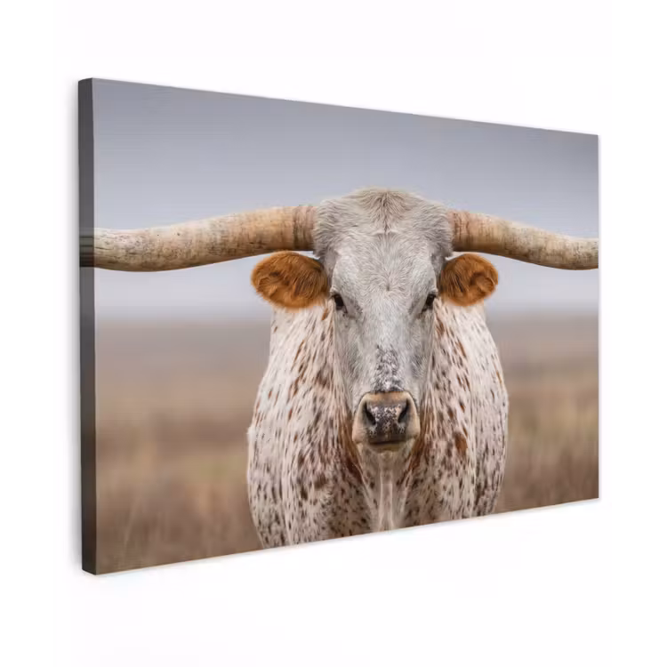 Canvas schilderij - Longhorn - Grasveld - Dier — 1