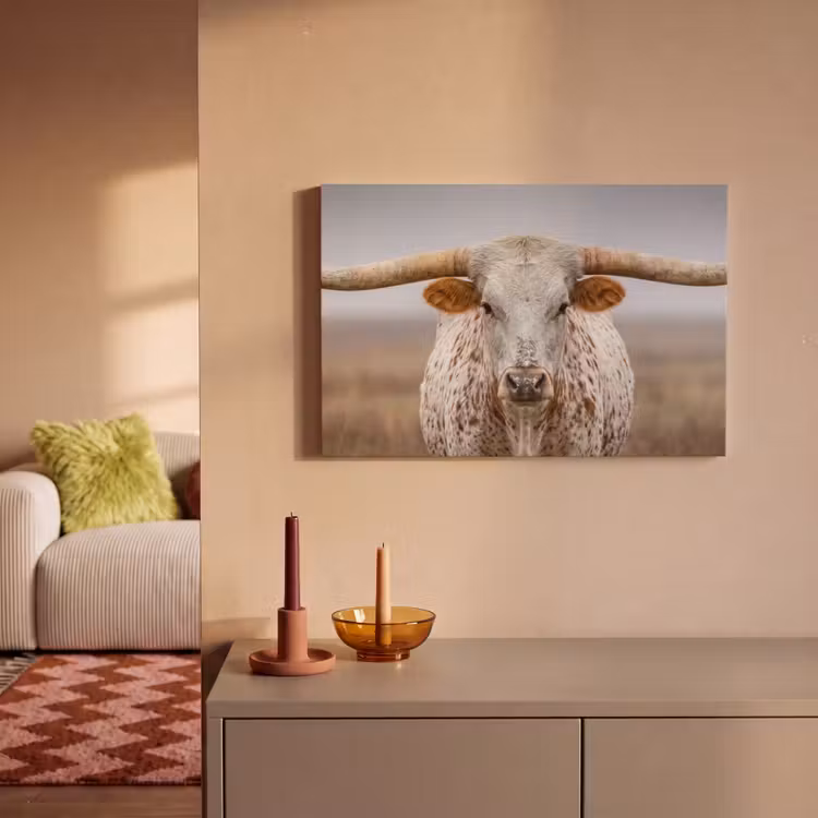 Canvas schilderij - Longhorn - Grasveld - Dier — 2