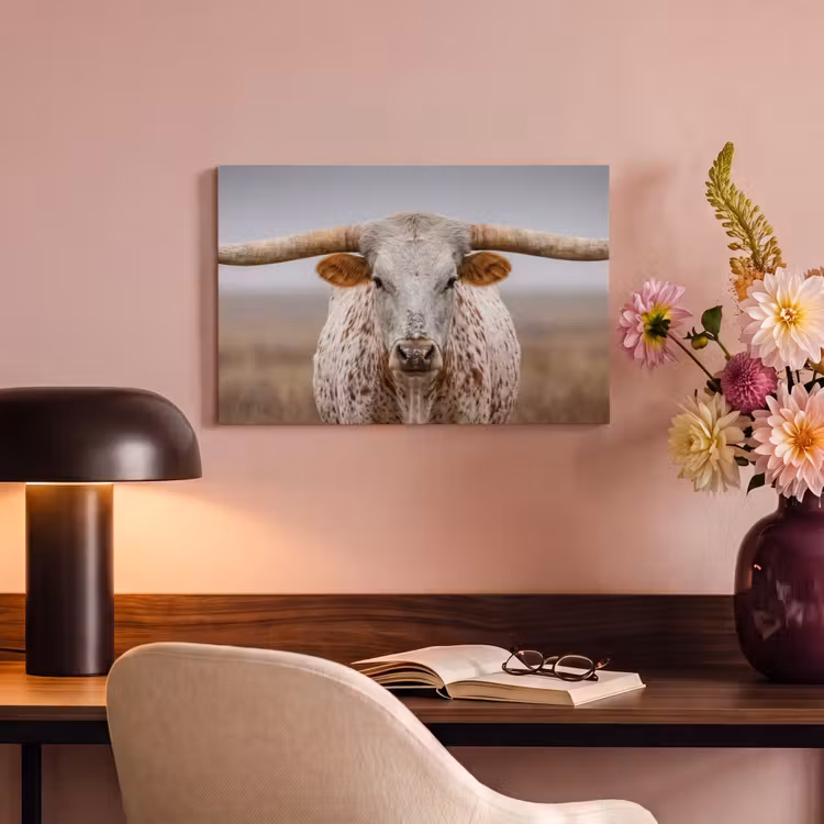 Canvas schilderij - Longhorn - Grasveld - Dier — 6
