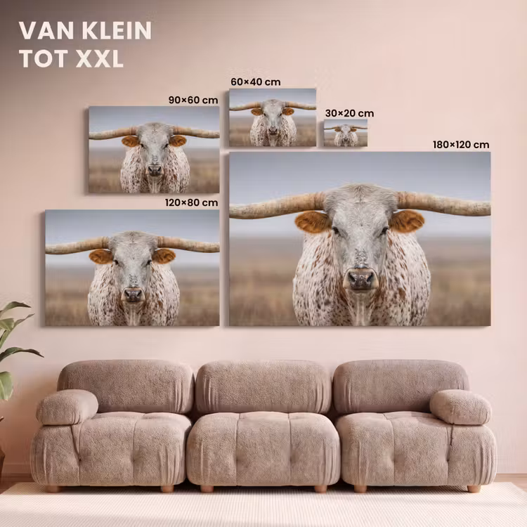 Canvas schilderij - Longhorn - Grasveld - Dier — 8