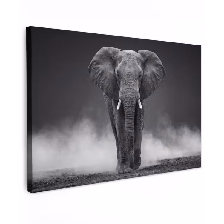 Canvas schilderij - Olifant - Zwart - Wit - Rook — 1