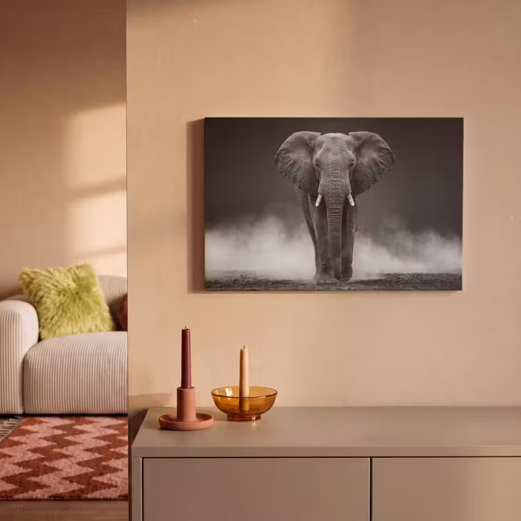 Canvas schilderij - Olifant - Zwart - Wit - Rook — 2