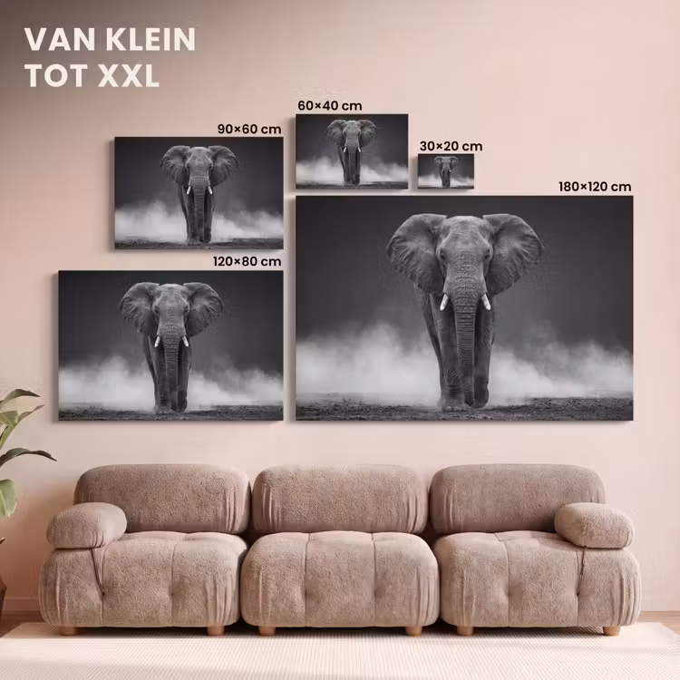 Canvas schilderij - Olifant - Zwart - Wit - Rook — 8