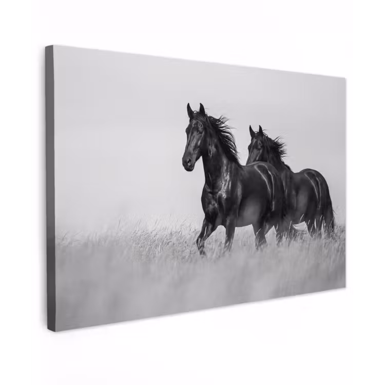 Canvas schilderij - Paarden - Gras - Zwart - Wit — 1
