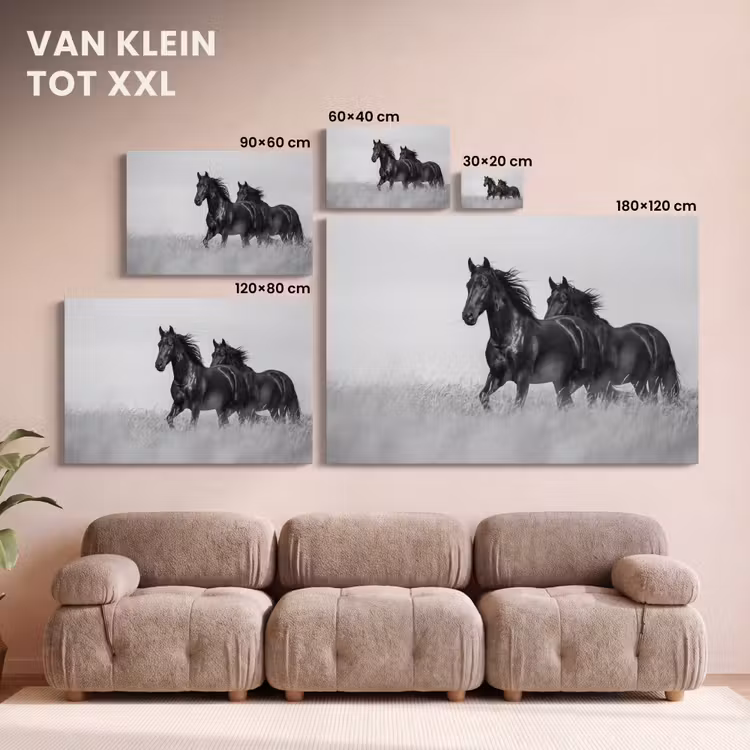 Canvas schilderij - Paarden - Gras - Zwart - Wit — 8