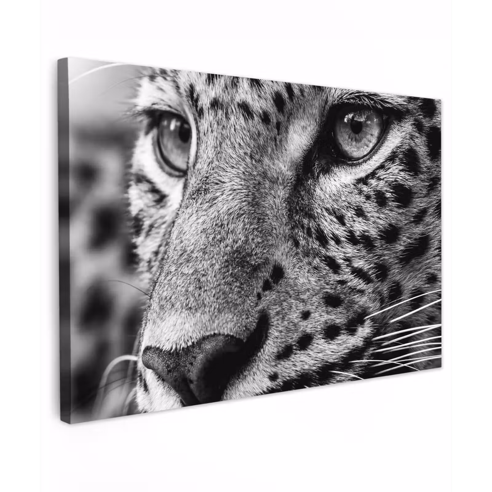Canvas schilderij - Luipaard - Zwart - Wit - Oog — 1