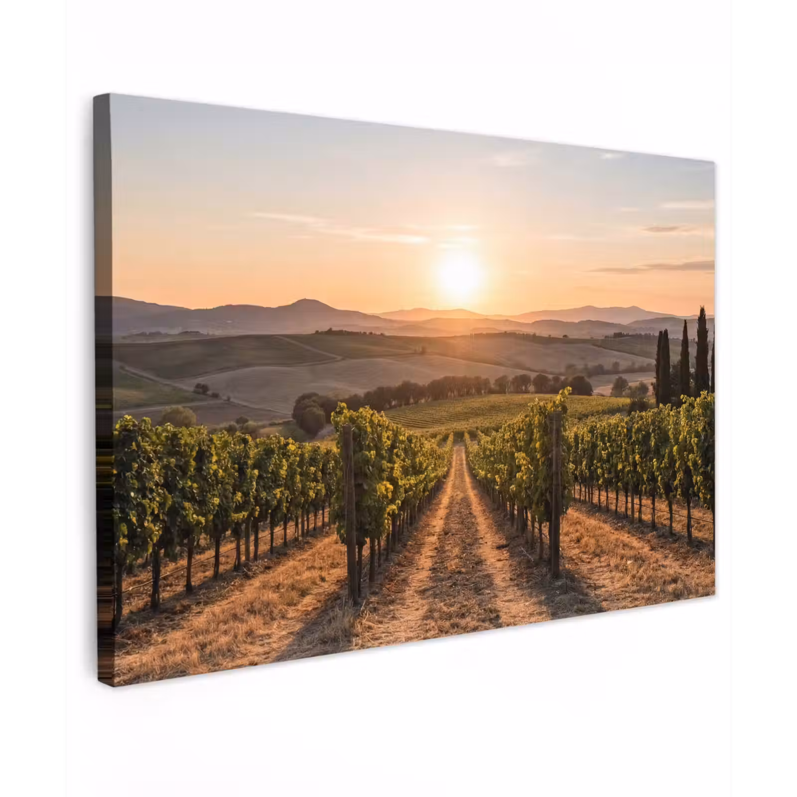 Canvas schilderij - Wijngaard - Zonsondergang - Landschap — 1
