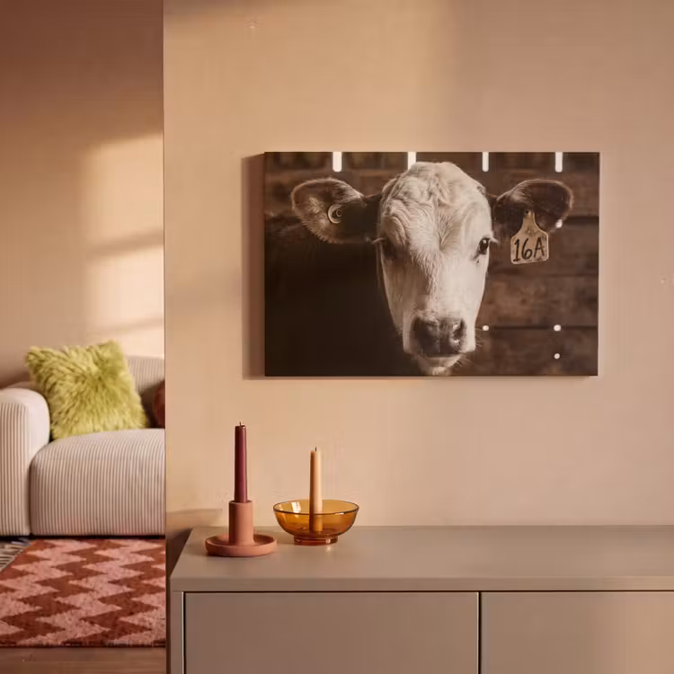 Canvas schilderij - Kalf - Oormerk - Houten stal — 2