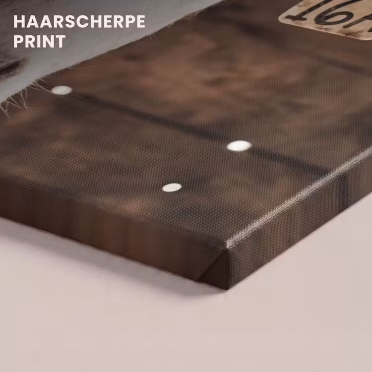 Canvas schilderij - Kalf - Oormerk - Houten stal — 5