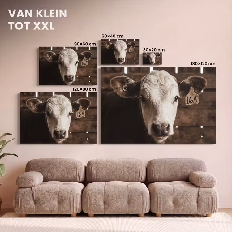 Canvas schilderij - Kalf - Oormerk - Houten stal — 8