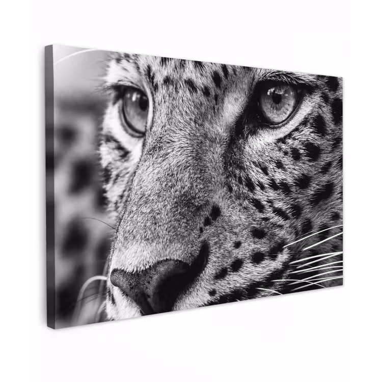 Canvas schilderij - Luipaard - Zwart - Wit - Oog — 1