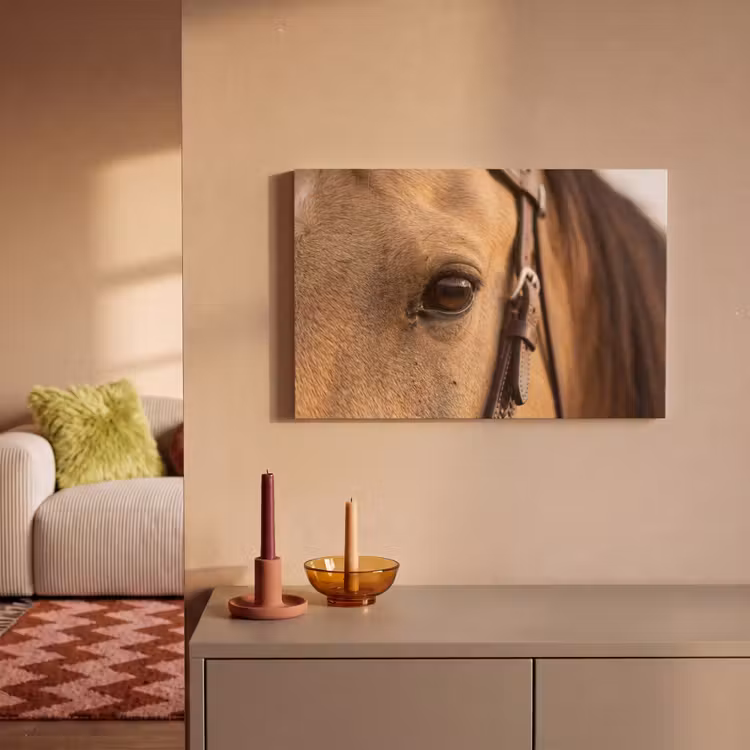 Canvas schilderij - Paard - Oog - Bruin — 2