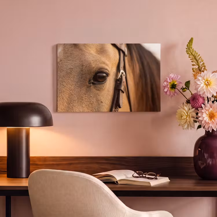 Canvas schilderij - Paard - Oog - Bruin — 6