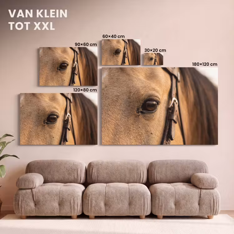 Canvas schilderij - Paard - Oog - Bruin — 8