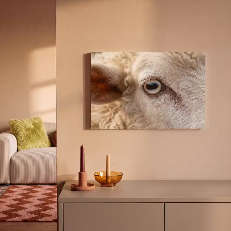 Canvas schilderij - Schaap - Oog - Wit — 2