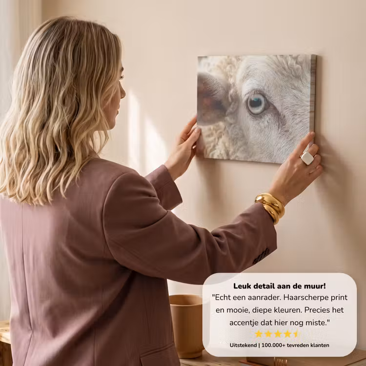 Canvas schilderij - Schaap - Oog - Wit — 3